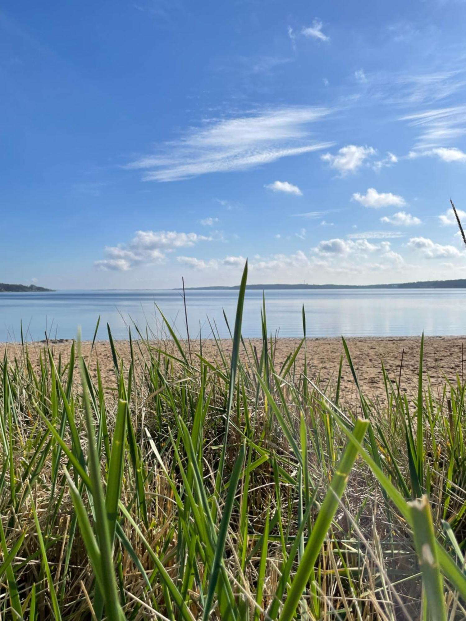 Strandliebe - Fewo Mit Meerblick ฮาร์ริสลี ภายนอก รูปภาพ